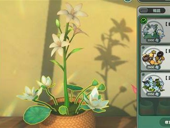 绝区零芮恩的花艺委托攻略