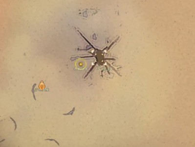 诛仙世界剑英兰在哪