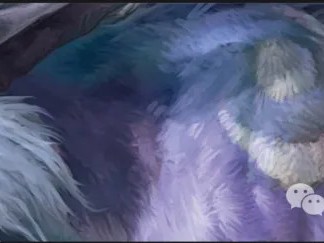 以下是魔兽世界11.0版本五人副本中德鲁伊天赋加点的建议。